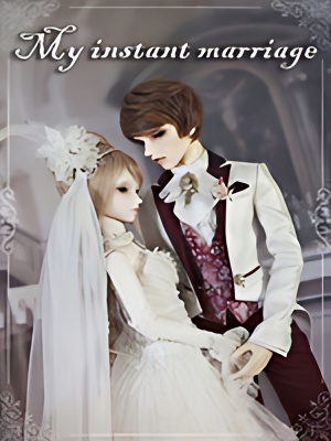 My Instant Marriage - Free online novel on NovelFlow My Instant Marriage cover - Read free novel on NovelFlow