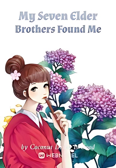 My Seven Elder Brothers Found Me cover