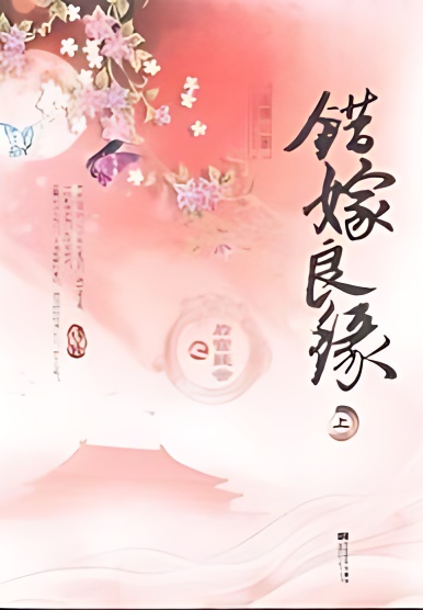 A Mistaken Marriage Match: Mysteries in the Imperial Harem cover