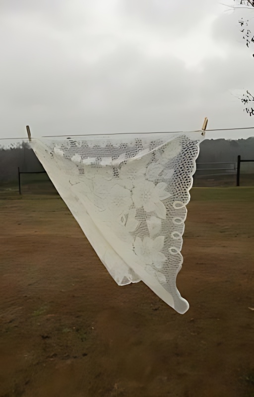 troy 𖦹 fourth wing cover