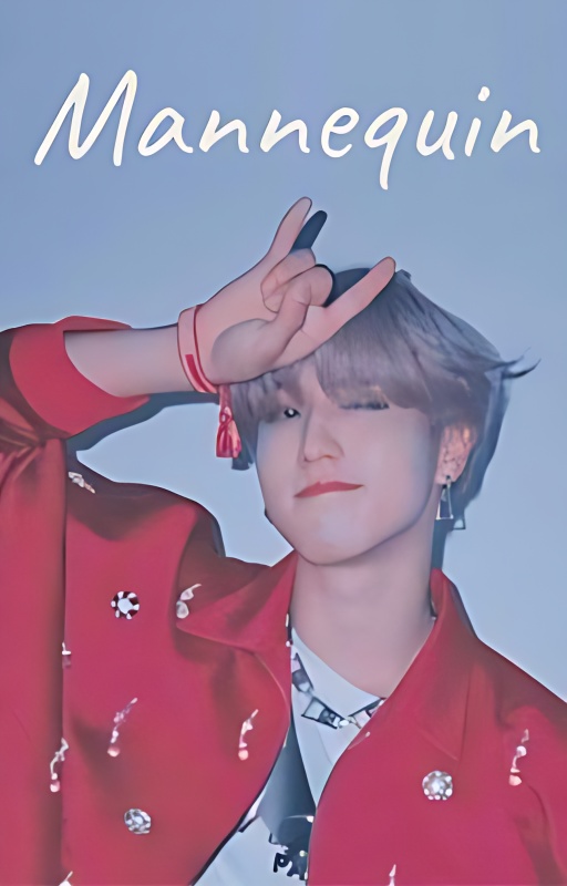 The Mannequin - Minsung - Free online novel on NovelFlow The Mannequin - Minsung cover - Read free novel on NovelFlow