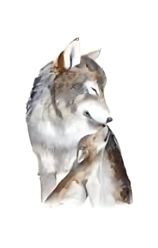 My little omega - Free online novel on NovelFlow My little omega cover - Read free novel on NovelFlow