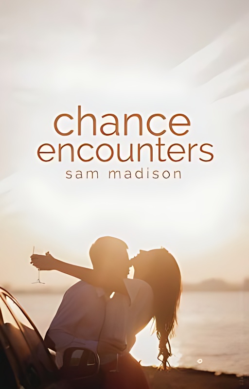 Chance Encounters - Free online novel on NovelFlow Chance Encounters cover - Read free novel on NovelFlow