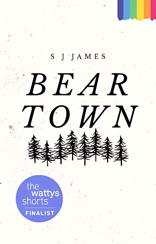 Bear Town cover