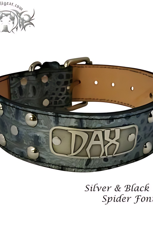 Love Spell - Free online novel on NovelFlow Love Spell cover - Read free novel on NovelFlow