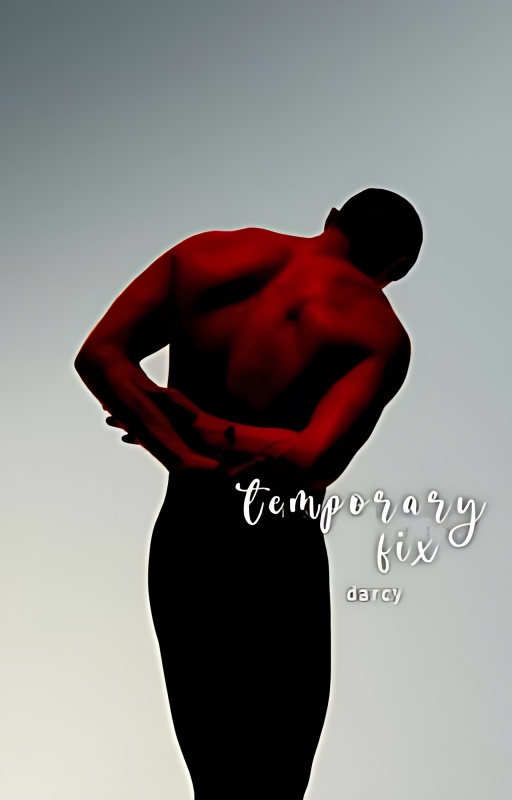 Temporary Fix ✔️ - Free online novel on NovelFlow Temporary Fix ✔️ cover - Read free novel on NovelFlow