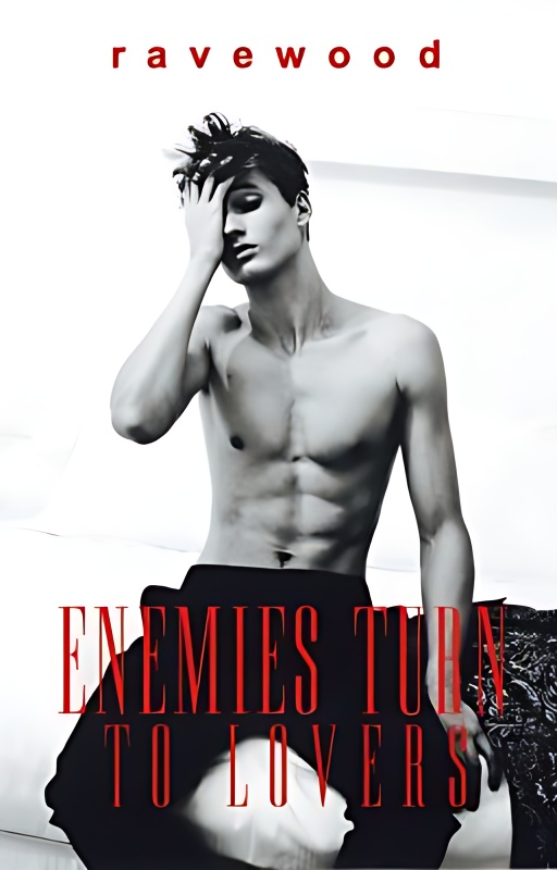 Enemies Turn to Lovers - Free online novel on NovelFlow Enemies Turn to Lovers cover - Read free novel on NovelFlow