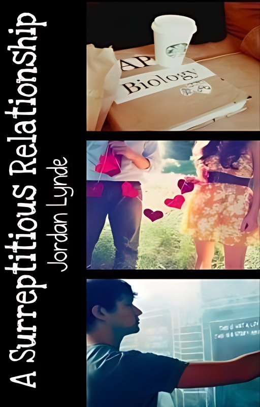 A Surreptitious Relationship cover