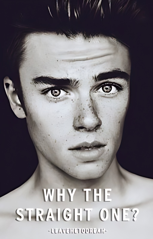 Why the Straight One? | Book 1 | bxb cover