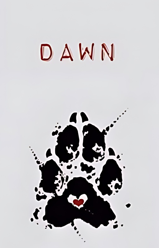 Dawn cover
