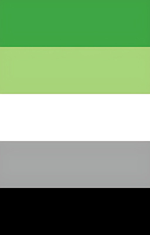 My aromantic life cover