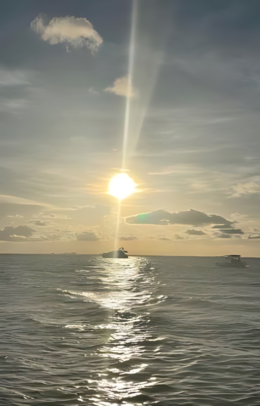 It's the little things - Free online novel on NovelFlow It's the little things cover - Read free novel on NovelFlow