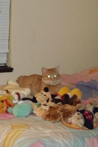 Dawn over the Queendom of Shallarah (complete) - Free online novel on NovelFlow Dawn over the Queendom of Shallarah (complete) cover - Read free novel on NovelFlow