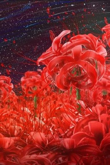 Hyperdimensional Game cover