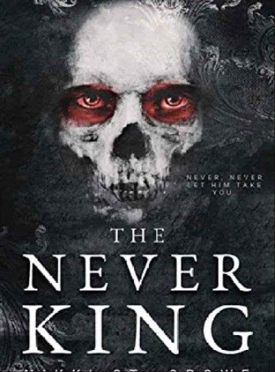 The Never King (Vicious Lost Boys Book 1) - Free online novel on NovelFlow The Never King (Vicious Lost Boys Book 1) cover - Read free novel on NovelFlow