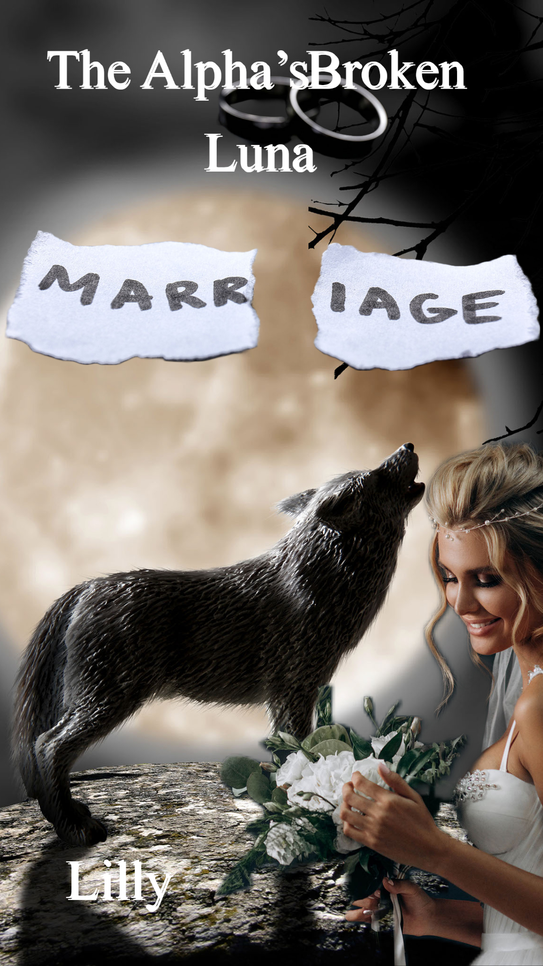 THE ALPHA’S BROKEN LUNA - Free online novel on NovelFlow THE ALPHA’S BROKEN LUNA cover - Read free novel on NovelFlow