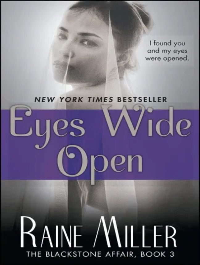 Eyes Wide Open: The Blackstone Affair, Book 3 - Free online novel on NovelFlow Eyes Wide Open: The Blackstone Affair, Book 3 cover - Read free novel on NovelFlow