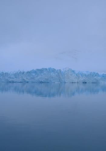 300 Days With The Alpha Beta Triplets cover