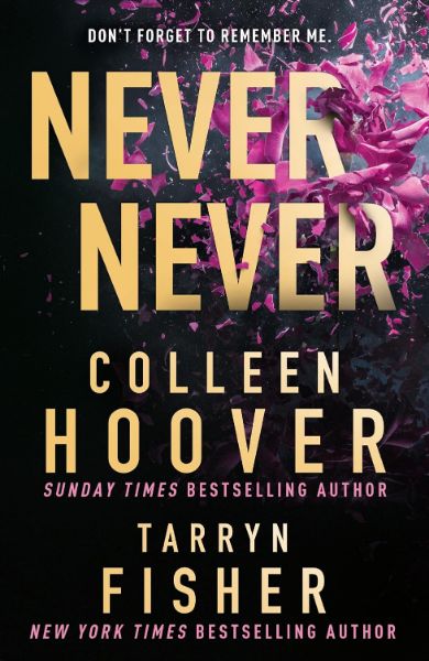 Never Never: dark romance suspense thriller from the BookTok sensation cover