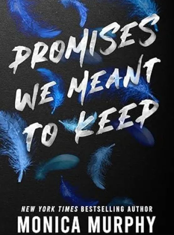 Promises We Meant to Keep (Lancaster Prep Book 3) - Free online novel on NovelFlow Promises We Meant to Keep (Lancaster Prep Book 3) cover - Read free novel on NovelFlow