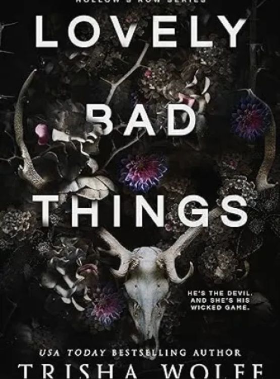 Lovely Bad Things: A Dark Romance (Hollow’s Row 1) cover