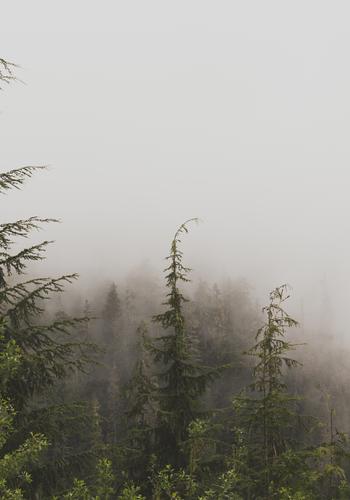 The Savior Boss - Free online novel on NovelFlow The Savior Boss cover - Read free novel on NovelFlow