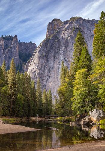 REVENGE OF THE BETRAYED WOLF cover