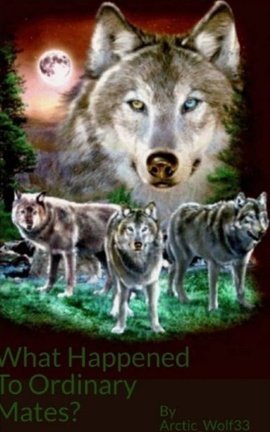 What Happened To Ordinary Mates? #1 - Free online novel on NovelFlow What Happened To Ordinary Mates? #1 cover - Read free novel on NovelFlow