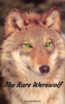 The Rare Werewolf - Free online novel on NovelFlow The Rare Werewolf cover - Read free novel on NovelFlow
