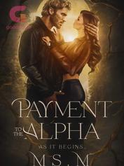 Payment To the Alpha - Free online novel on NovelFlow Payment To the Alpha cover - Read free novel on NovelFlow