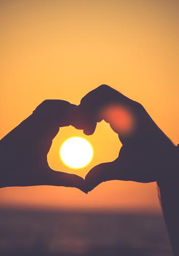 Alpha's Human Luna cover