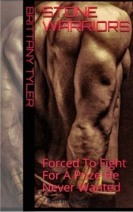 Stone Warriors - Free online novel on NovelFlow Stone Warriors cover - Read free novel on NovelFlow