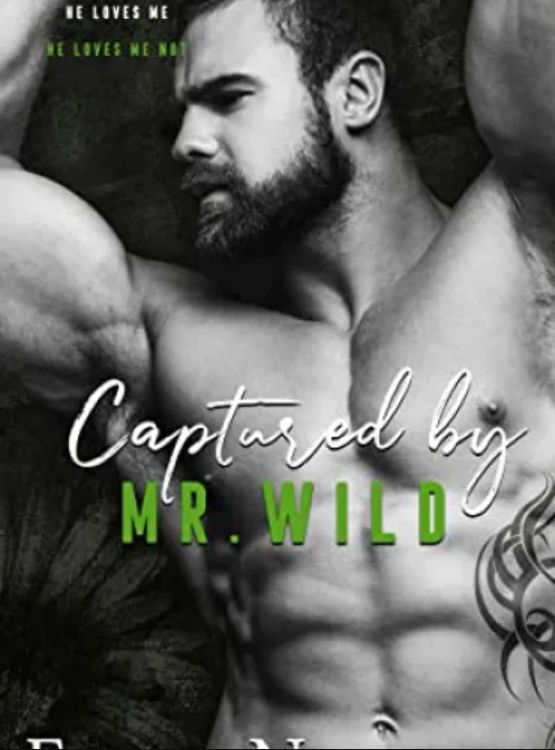 Captured by Mr. Wild (The Men Series – Interconnected Standalone Romances Book 4) - Free online novel on NovelFlow Captured by Mr. Wild (The Men Series – Interconnected Standalone Romances Book 4) cover - Read free novel on NovelFlow