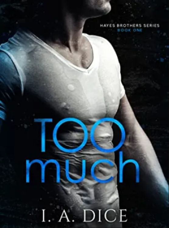 Too Much : Hayes Brothers Book 1 - Free online novel on NovelFlow Too Much : Hayes Brothers Book 1 cover - Read free novel on NovelFlow