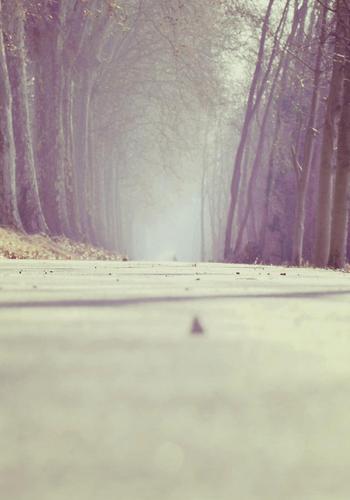 His'(Crazy Erotica) - Free online novel on NovelFlow His'(Crazy Erotica) cover - Read free novel on NovelFlow