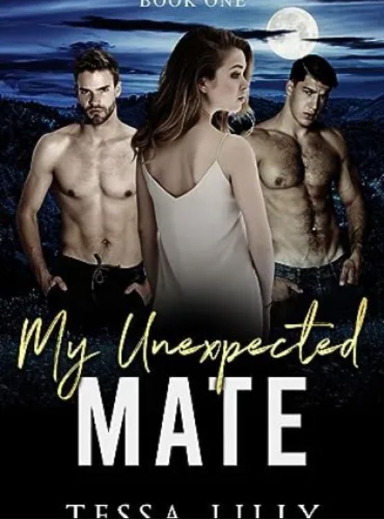 My Unexpected Mate (The Chosen Saviors Series Book 1) - Free online novel on NovelFlow My Unexpected Mate (The Chosen Saviors Series Book 1) cover - Read free novel on NovelFlow