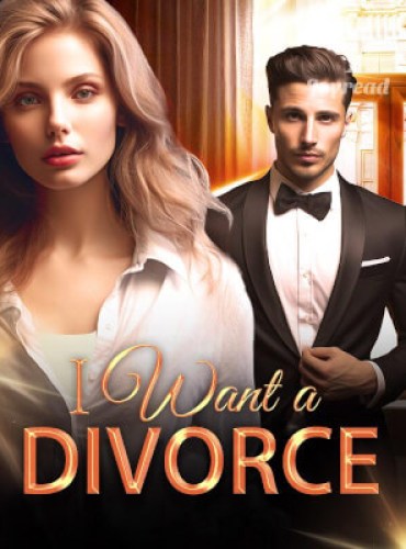 I Want a Divorce cover - Read free novel on NovelFlow