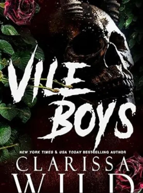 Vile Boys (Spine Ridge University) - Free online novel on NovelFlow Vile Boys (Spine Ridge University) cover - Read free novel on NovelFlow
