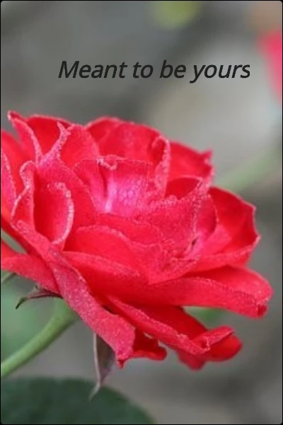 Meant to be yours - Free online novel on NovelFlow Meant to be yours cover - Read free novel on NovelFlow