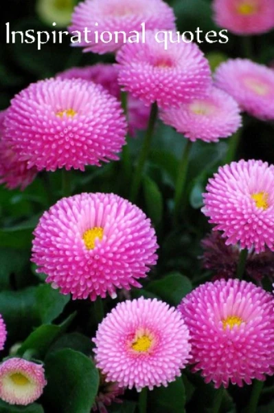 Love Romance Suspence! - Free online novel on NovelFlow Love Romance Suspence! cover - Read free novel on NovelFlow