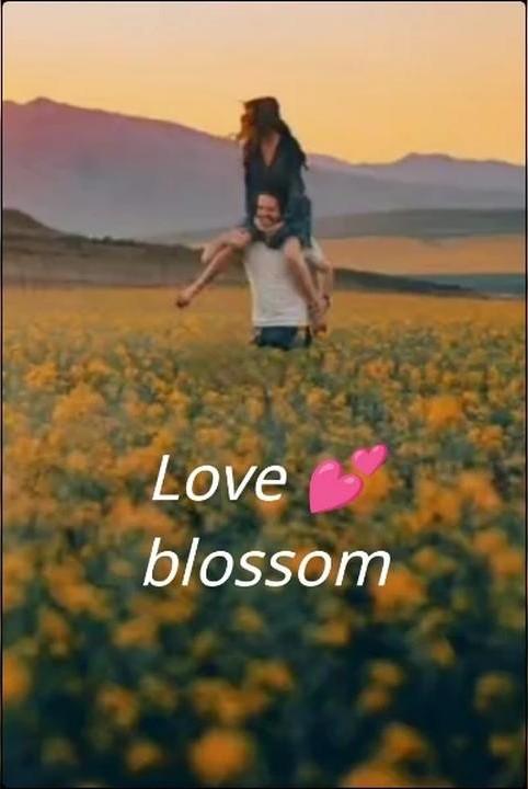 Love 💕 blossom cover