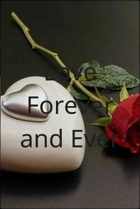Love Forever and Ever - Free online novel on NovelFlow Love Forever and Ever cover - Read free novel on NovelFlow
