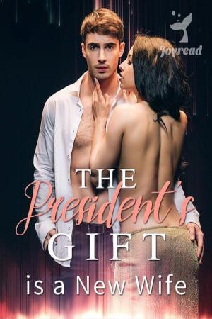 The President's Gift is a New Wife - Free online novel on NovelFlow The President's Gift is a New Wife cover - Read free novel on NovelFlow