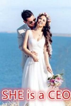 She Is A CEO - Free online novel on NovelFlow She Is A CEO cover - Read free novel on NovelFlow