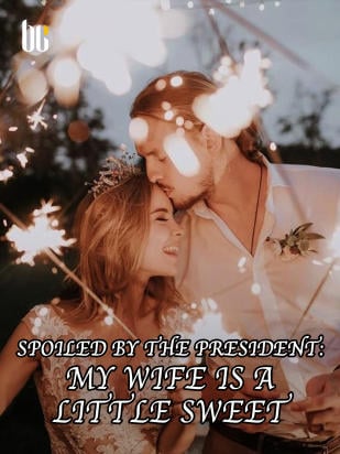 Spoiled By The President: My Wife Is A Little Sweet - Free online novel on NovelFlow Spoiled By The President: My Wife Is A Little Sweet cover - Read free novel on NovelFlow