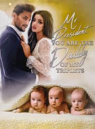 Mr. President You Are The Daddy Of My Triplets cover - Read free novel on NovelFlow