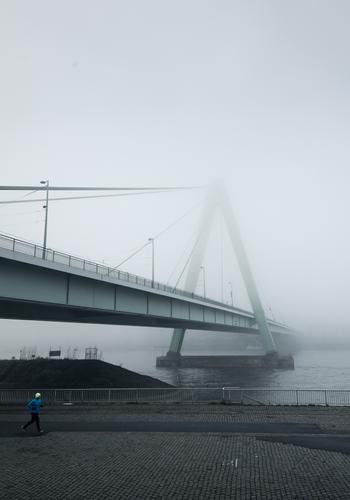 Gods of Arena - Free online novel on NovelFlow Gods of Arena cover - Read free novel on NovelFlow