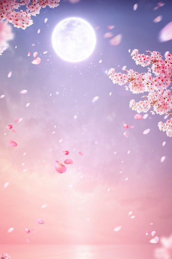 Capture Her Heart After Marriage cover