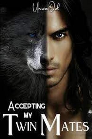 Accepting My Twin Mates - Free online novel on NovelFlow Accepting My Twin Mates cover - Read free novel on NovelFlow
