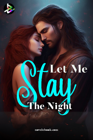 Let Me Stay The Night cover